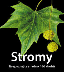 Stromy - Rozpoznajte ľahko 100 druhov - Kazda - predaj kníh - 1 ks