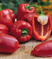 Paprika Almira Mini Red F1 - Capsicum annuum - predaj semien - 5 ks