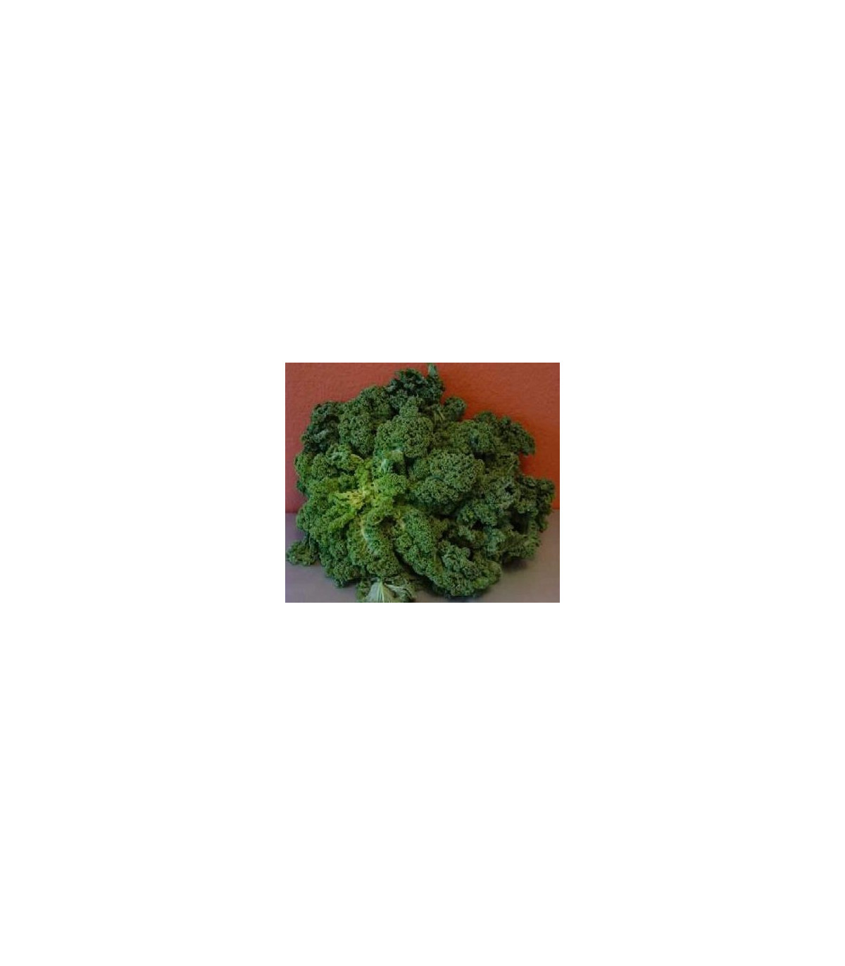 Kel kučeravý zelený zimný - semiačka - 0,5 g