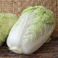 Kapusta pekinská Grannat - Brassica pekinensis - semiačka - 200 ks