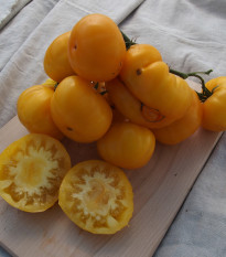 Paradajka kolíková Yellowstone - Solanum lycopersicum - Semená rajčiaka - 15 ks