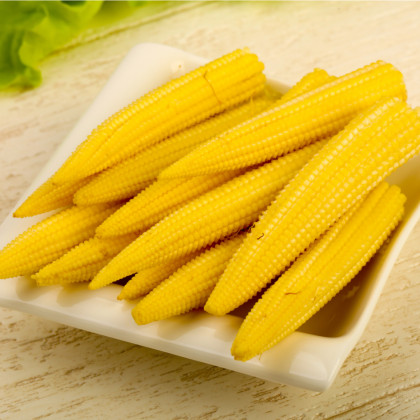 Kukurica Minipop F1- Zea Mays - semená kukurice - 15 ks