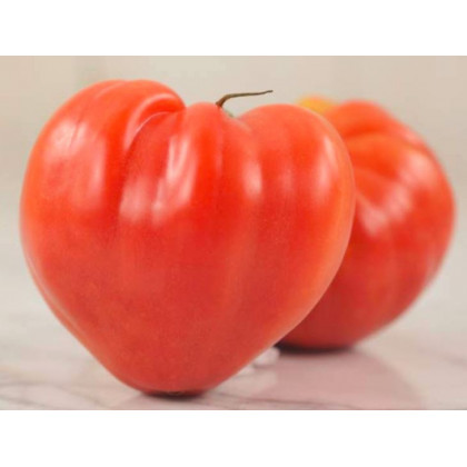 Paradajka Oxheart Pink - Kolíková - Solanum lycopersicum - Predaj semien rajčiaka - 5 ks