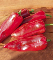 Bio Paprika Atris F1 - Capsicum annuum - predaj bio semien - 5 ks