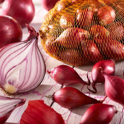 Cibuľa červená sadzačka Rote - Allium cepa - predaj cibule - 250 g