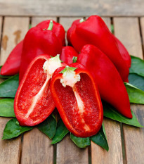 Paprika Snackling Red F1 - Capsicum annuum - predaj semien - 5 ks