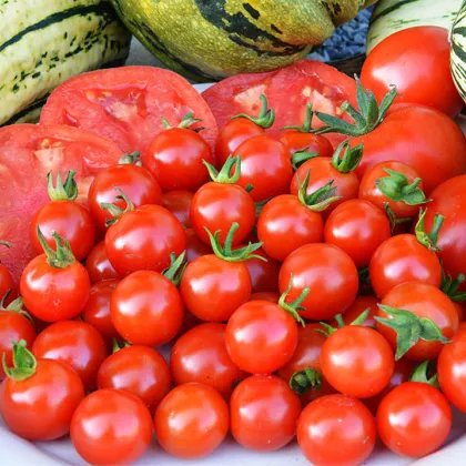 Paradajka Sweet Aperitif - kolíková odroda - Solanum lycopersicum - Semená rajčiaka - 6 ks