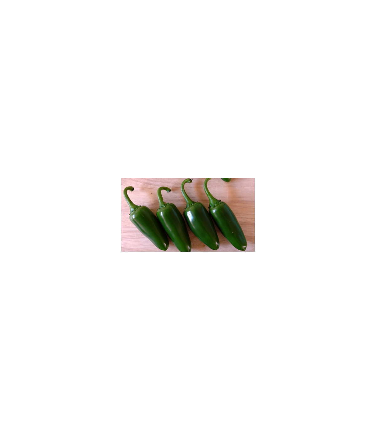 Chilli Chichimeca - semená Chilli - papričky - 6 ks