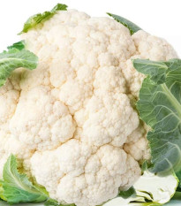 Bio Karfiol skorý Odysseus - Brassica oleracea - predaj bio semien - 20 ks