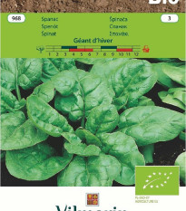 Bio Špenát Geant d'hiver - Spinacia oleracea - bio semienka - 10 g