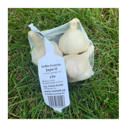 Sadbový cesnak Japo II - Allium sativum - nepaličiak - predaj cibulí cesnaku - 1 balenie