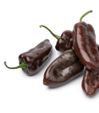 Paprika Sweet Chocolate - Capsicum annuum - predaj semien paprík - 7 ks