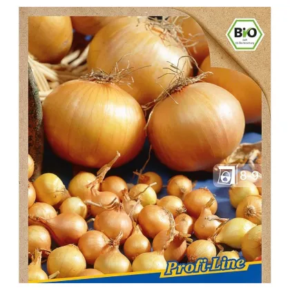 BIO cibuľa sadzačka Contado F1 - Allium cepa - predaj bio semien - 50 ks