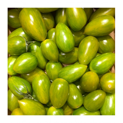 BIO Paradajka Green Tiger - Solanum lycopersicum - predaj bio semien - 7 ks