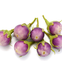 BIO Baklažán Rosa Bianca - Solanum melongena - predaj bio semien - 8 ks