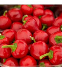 BIO Paprika Babybell červená - Capsicum annuum - predaj bio semien - 10 ks