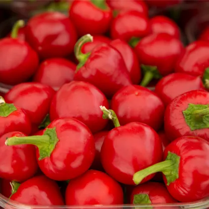 BIO Paprika Babybell červená - Capsicum annuum - predaj bio semien - 10 ks