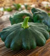 Patizon Green Saucer F1 - Cucurbita pepo - 5 ks