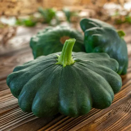 Patizon Green Saucer F1 - Cucurbita pepo - 5 ks