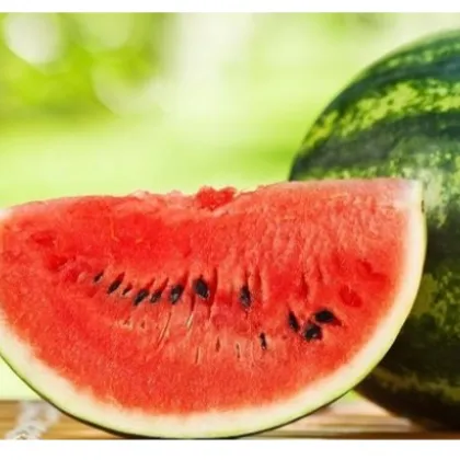 Melón vodný Crimson Sweet - Citrullus lanatus Matsum et Nakai - predaj semien - 6 ks