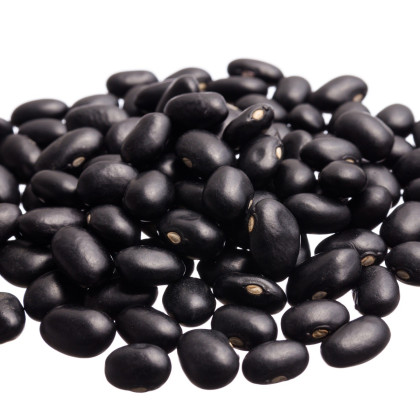 Fazuľové struky Negra - Phaseolus vulgaris - predaj semien fazule - 10 ks