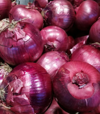 Cibuľa sadzačka zimná Rote Winter - Allium cepa - predaj cibuľovín - 50 ks