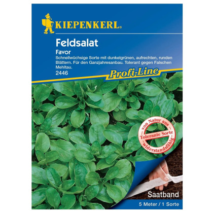 Semená poľníčka Favor F1 - predaj výsevných pásikov - 5 m