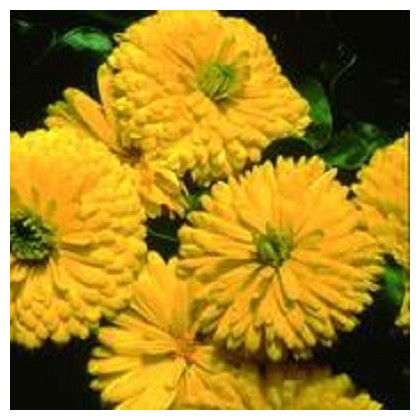 Nechtík lekársky Bon Bon žltý - Calendula officinalis - predaj semien - 20 ks