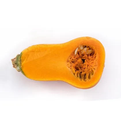 Tekvica maslová Honeynut - Cucurbita moschata - predaj semien - 6 ks