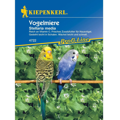 Vtáčinec pre vtáky - Kiepenkerl - predaj semien - 1 ks