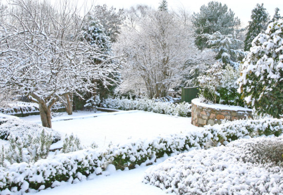 Zima sa pomaly blíži, je na ňu vaša záhrada pripravená?
