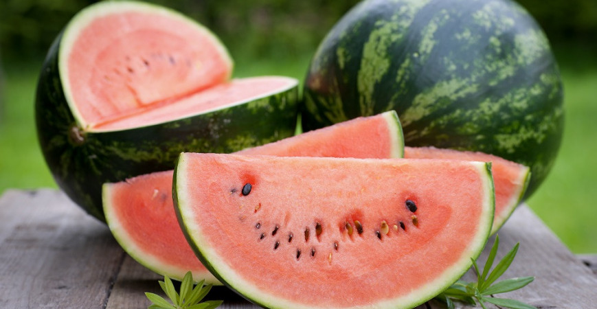 Aké odrody melóna pestovať?